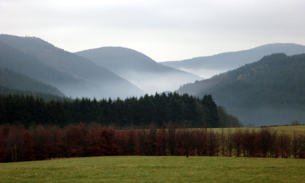 Apartament Landhaus Zur Linde Winterberg Pokój zdjęcie